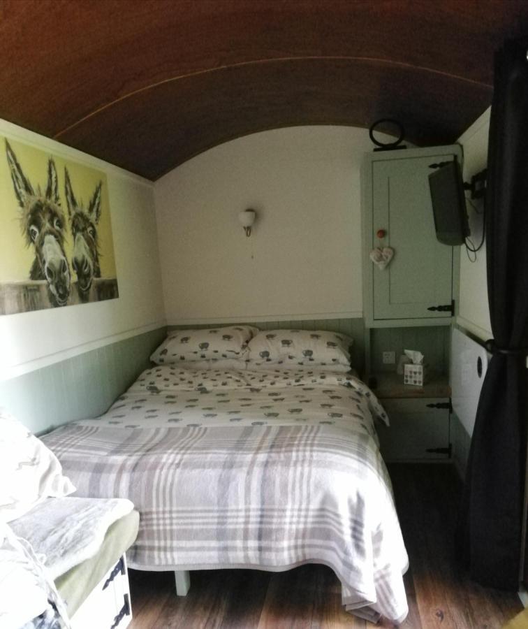 Durham Donkey Rescue Shepherd'S Hut Hotel Bagian luar foto