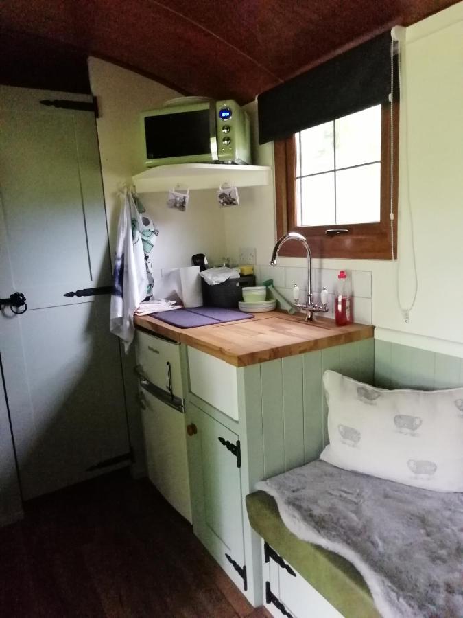 Durham Donkey Rescue Shepherd'S Hut Hotel Bagian luar foto