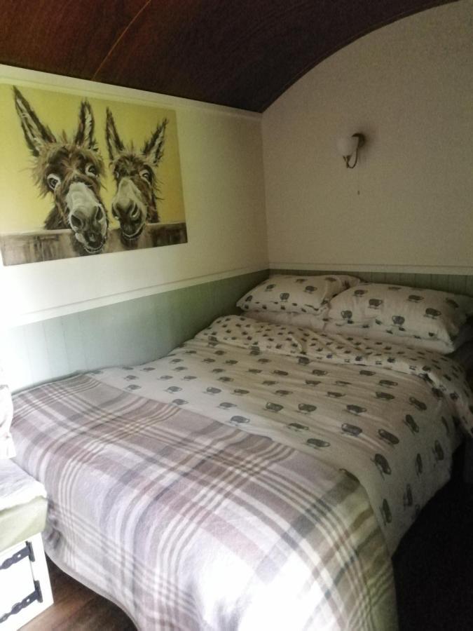 Durham Donkey Rescue Shepherd'S Hut Hotel Bagian luar foto