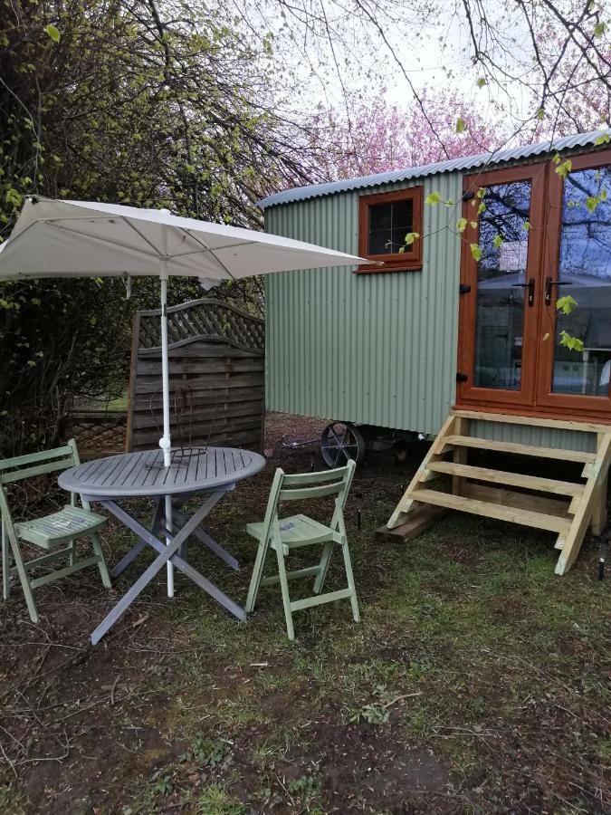 Durham Donkey Rescue Shepherd'S Hut Hotel Bagian luar foto