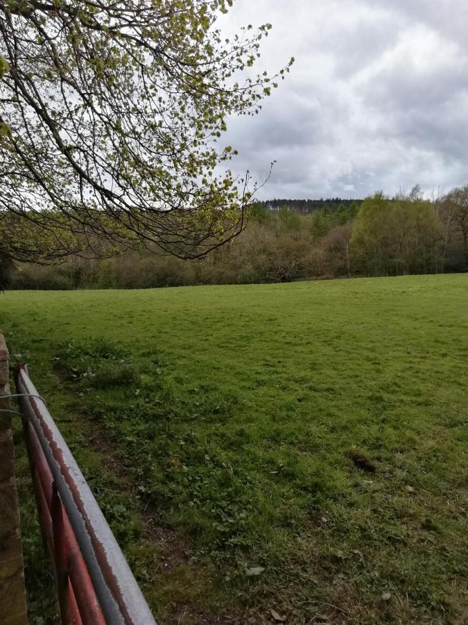 Durham Donkey Rescue Shepherd'S Hut Hotel Bagian luar foto