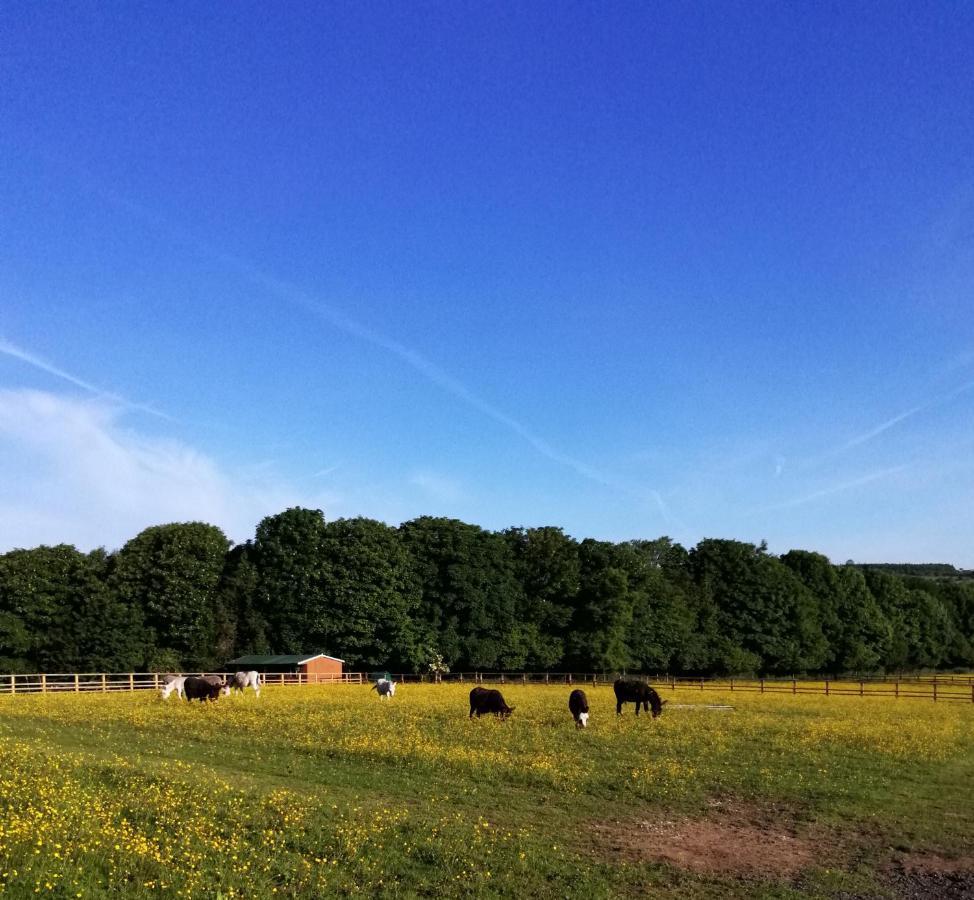Durham Donkey Rescue Shepherd'S Hut Hotel Bagian luar foto