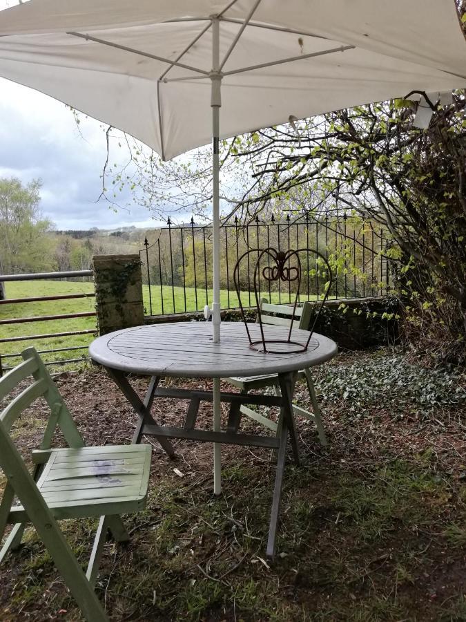 Durham Donkey Rescue Shepherd'S Hut Hotel Bagian luar foto