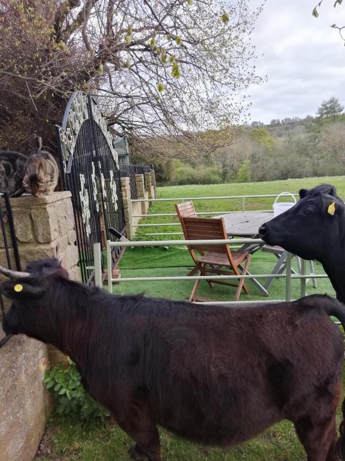 Durham Donkey Rescue Shepherd'S Hut Hotel Bagian luar foto