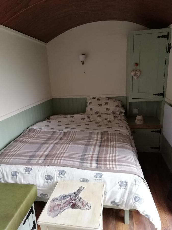 Durham Donkey Rescue Shepherd'S Hut Hotel Bagian luar foto
